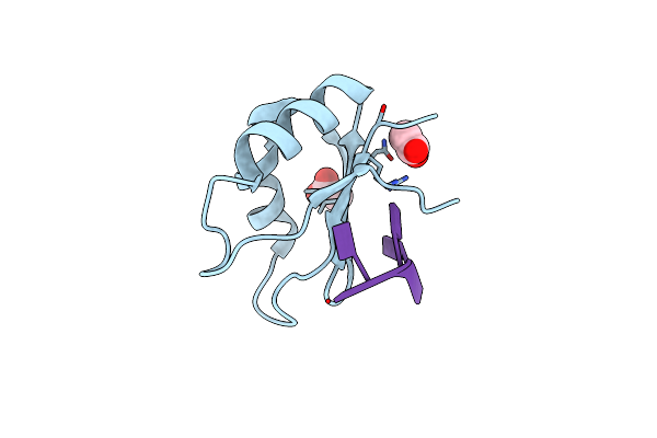 2XNR image