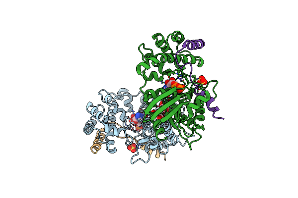 2XNS image