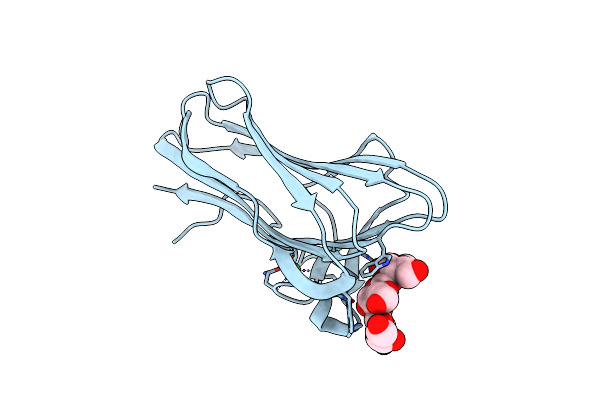 2XOM image
