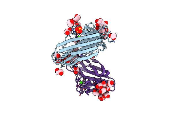 2XON image