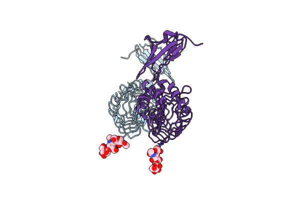 2XOT image
