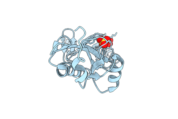 2XP1 image