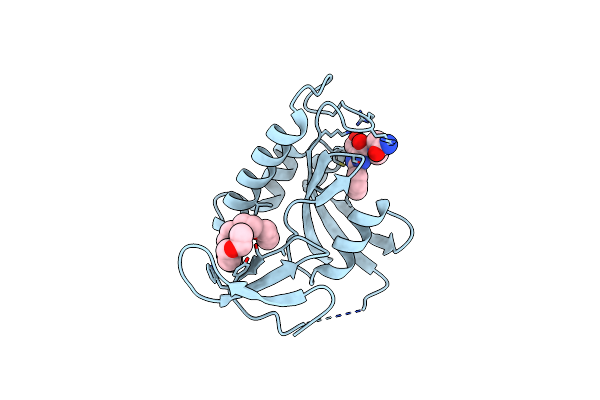 2XPA image