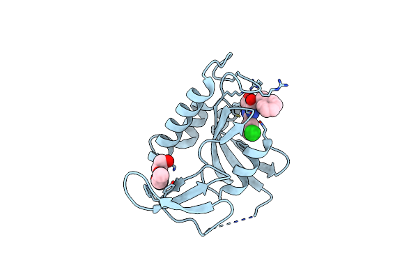 2XPB image