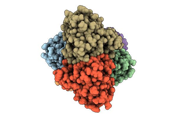 2XPD image