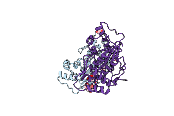 2XPH image
