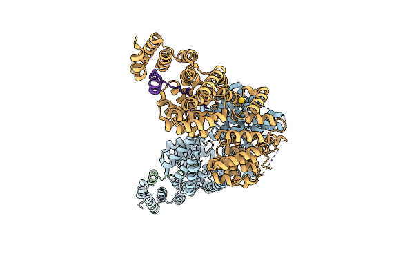 2XPI image