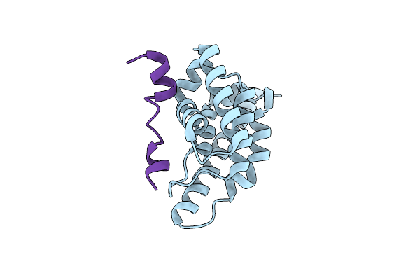 2XPN image