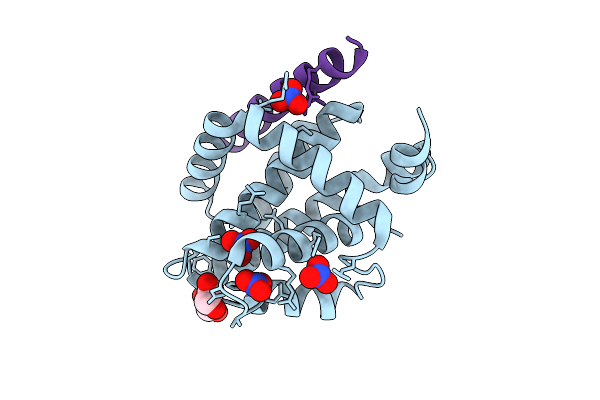 2XPX image