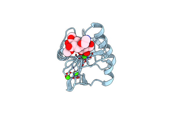 2XR5 image