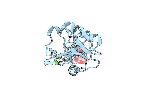 2XR6 image