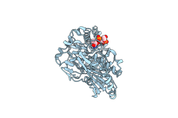 2XR7 image