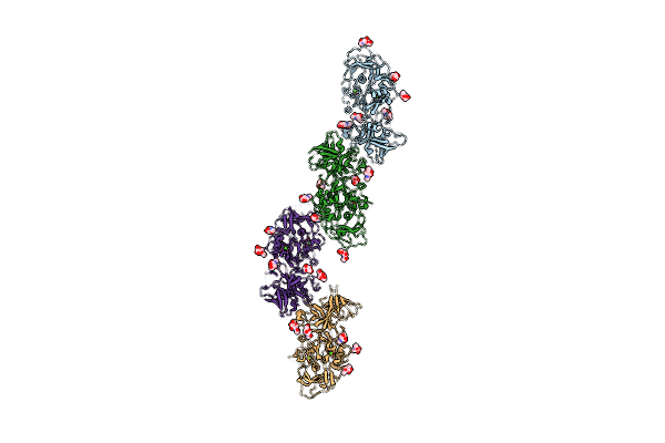 2XRC image
