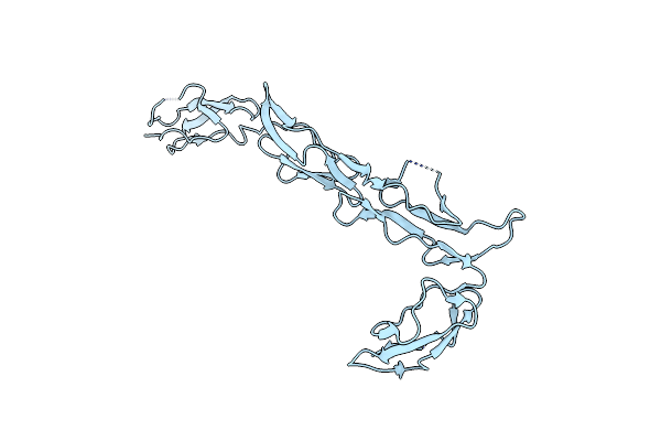 2XRD image