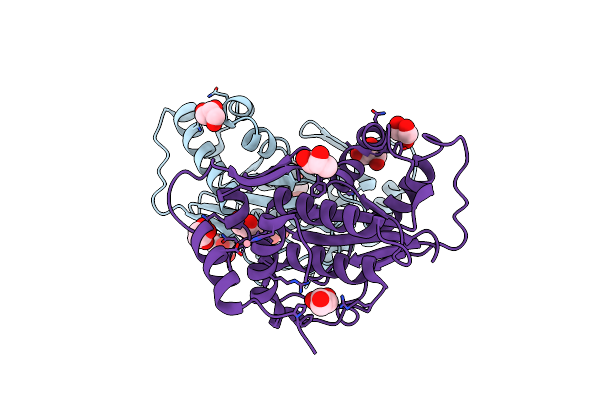 2XRE image