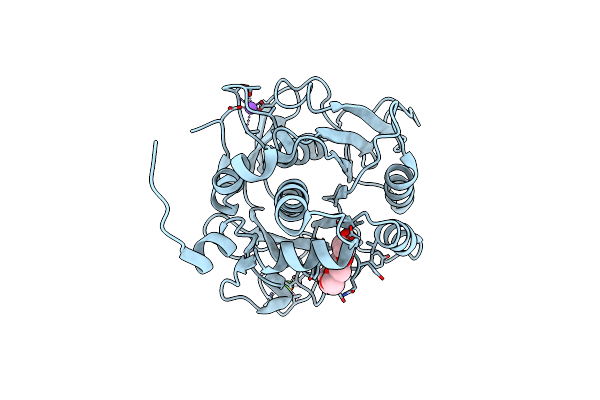 2XRM image