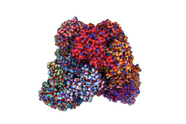 2XRX image