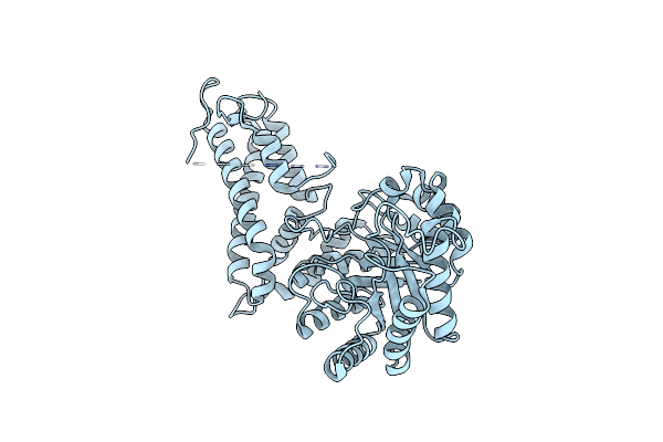2XSA image