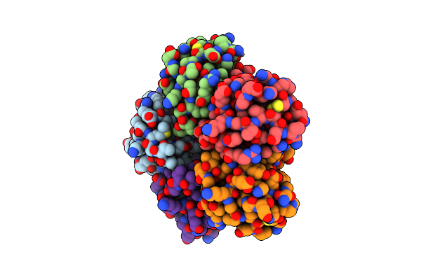 2XSC image