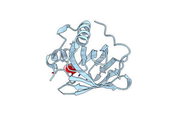 2XST image