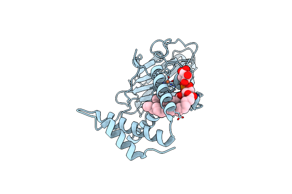 2XSU image