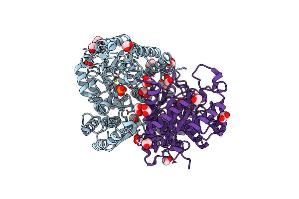 2XSX image