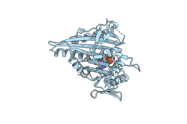 2XT3 image