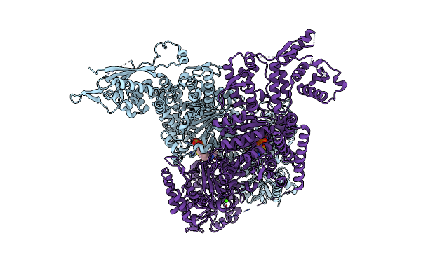 2XT6 image