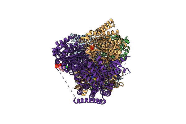 2XTA image