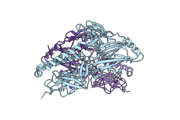 2XTL image