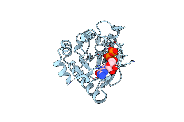 2XTN image