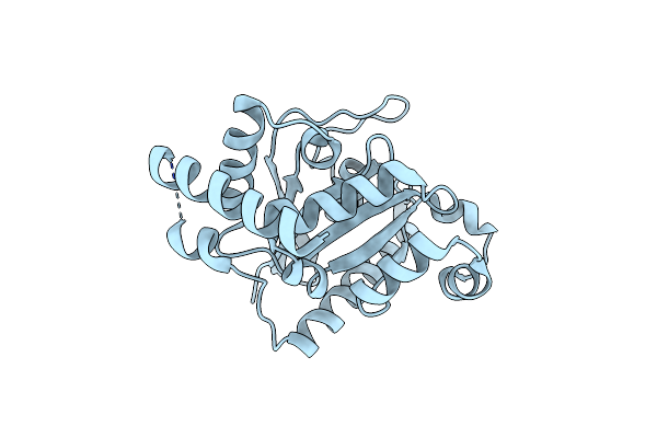 2XTP image