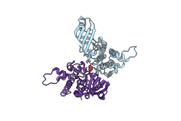 2XTR image