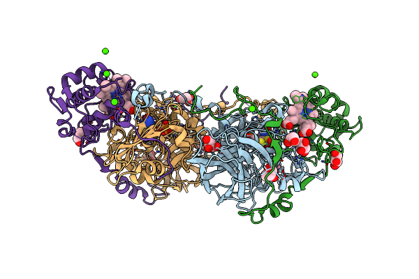2XTS image