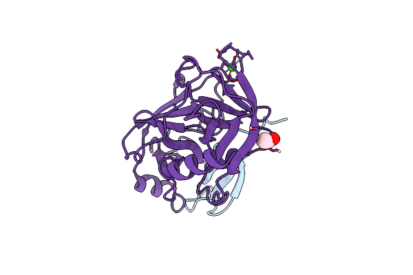 2XTT image