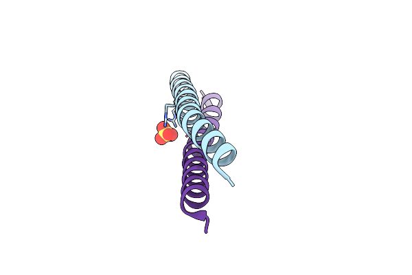 2XUS image