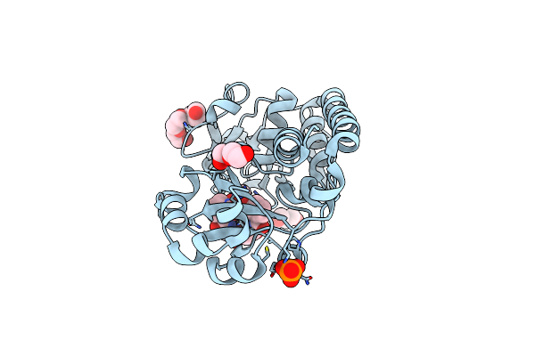 2XUZ image