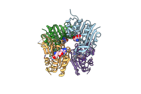 2XVA image