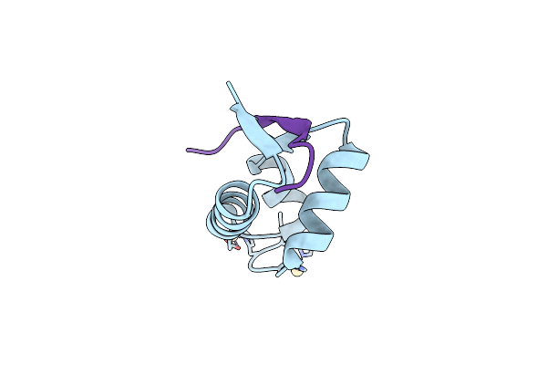 2XVC image