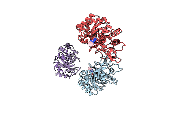 2XVN image