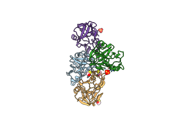 2XVO image