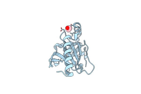 2XVS image