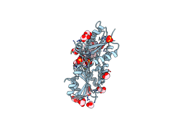 2XVX image