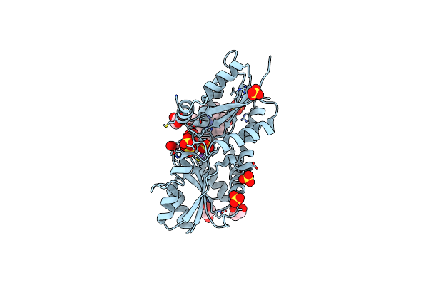 2XVZ image