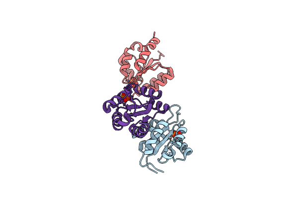 2XW6 image