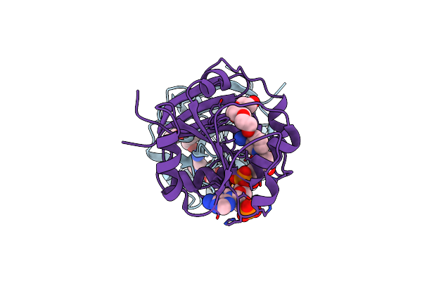 2XW7 image