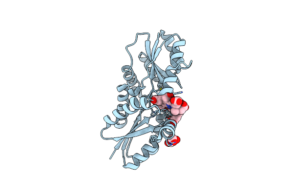 2XWP image