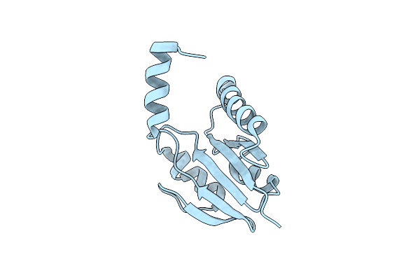 2XWS image