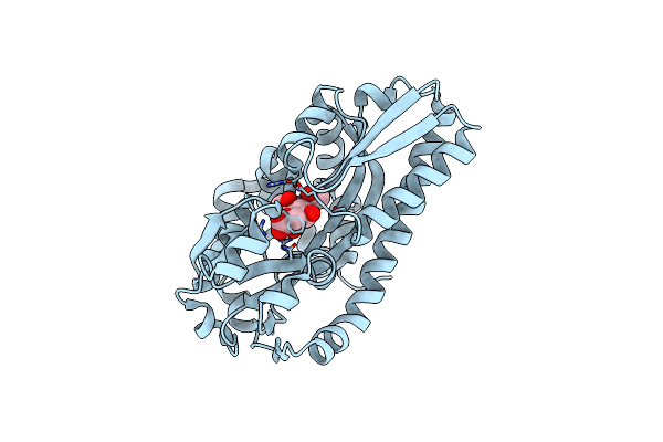 2XWV image