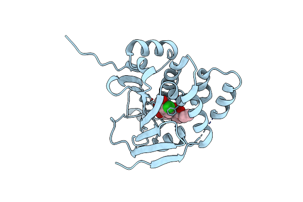 2XX4 image